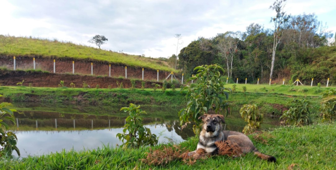 Popayan, Popayán, Cauca, Colombia 4